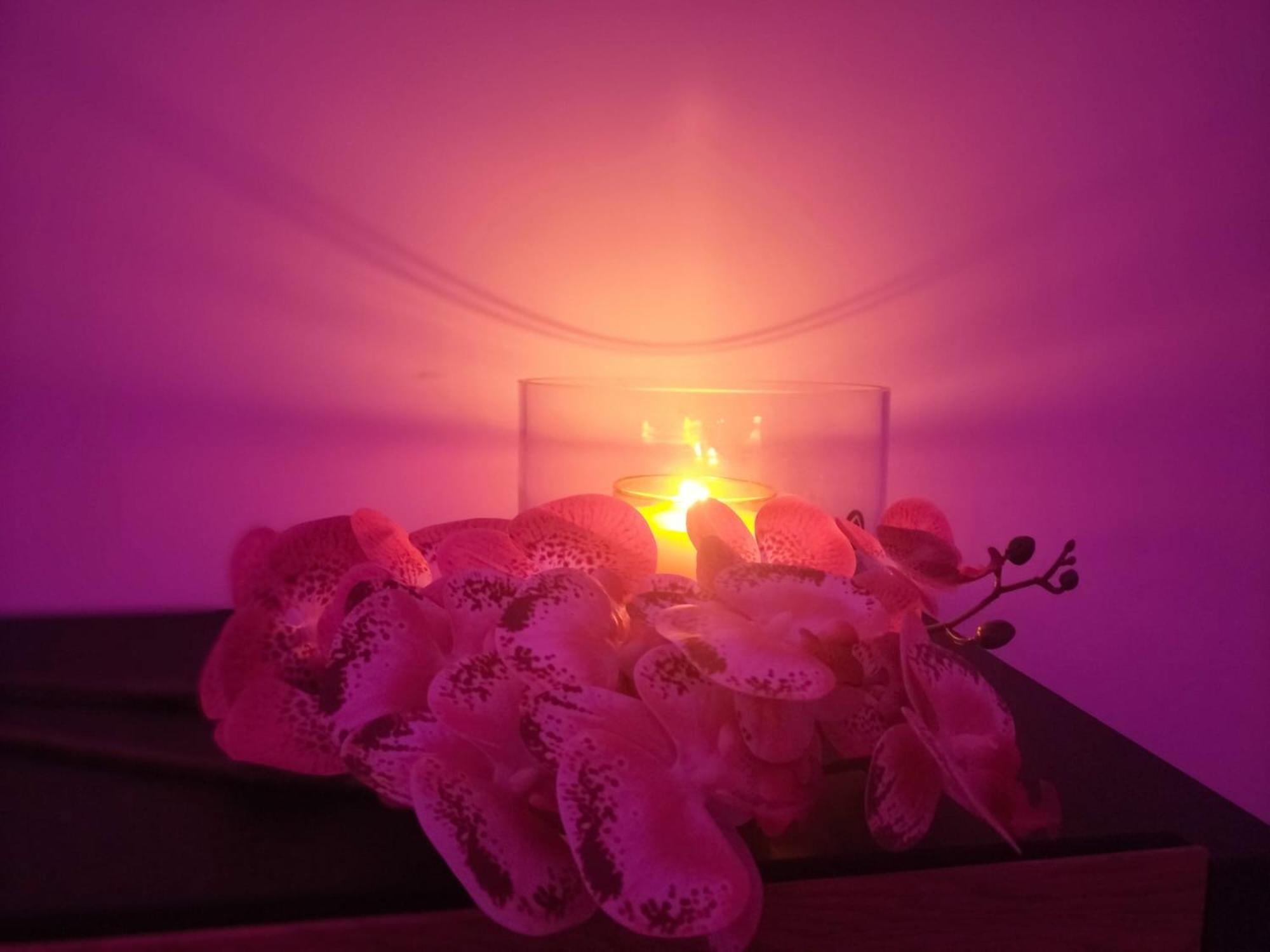 Mya Luxury Rooms And Wellness Melendugno Eksteriør billede